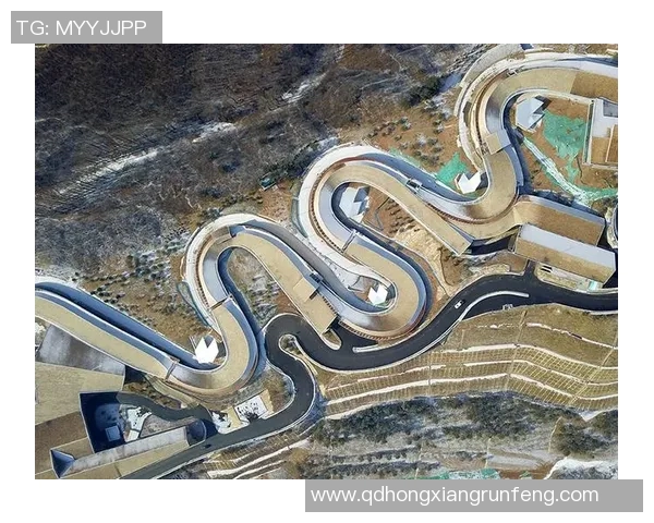 以竞体育团队协作精神为核心推动体育竞技创新与发展的战略路径探析