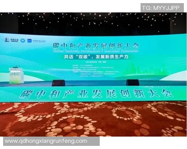 南京羽毛球队运营革新探索：从传统到现代的转型之路