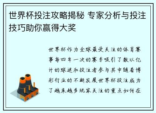 世界杯投注攻略揭秘 专家分析与投注技巧助你赢得大奖